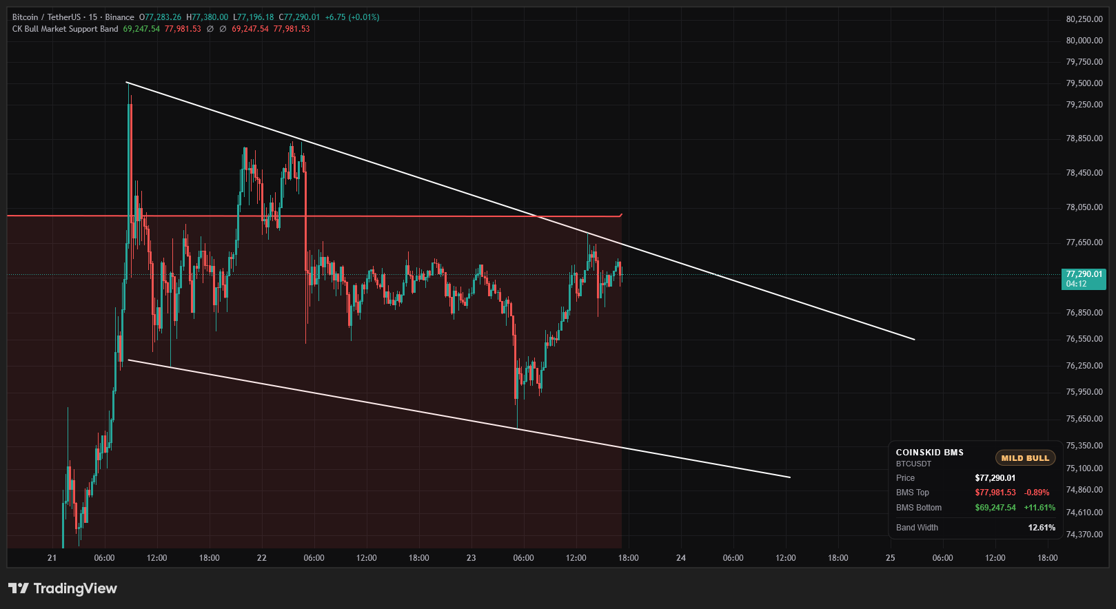 BTC bull flag