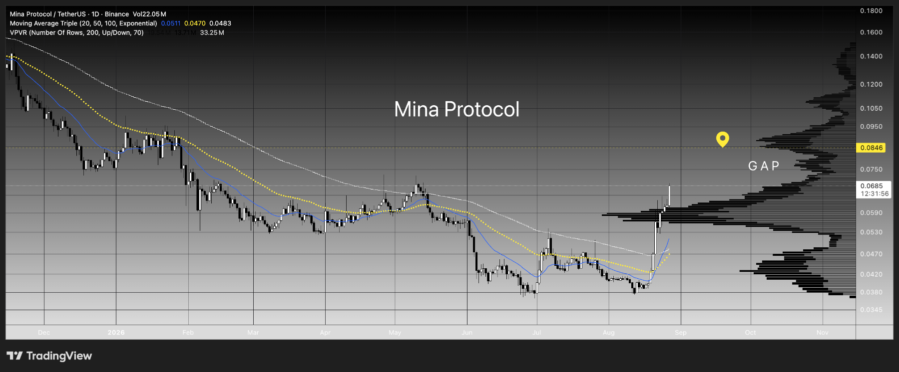 MINA  PROTOCOL    break beyond resistance