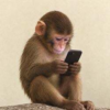 FONE