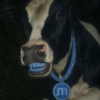 MOO