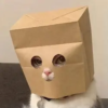 ZCAT